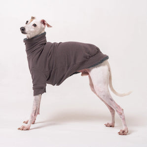 Italian Greyhound dog wearing a fleece fluffy reversible sweater in charcoal grey standing on a white background