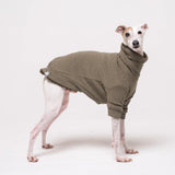 Italian Greyhound dog wearing a fleece fluffy reversible sweater in khaki green
