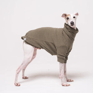 Italian Greyhound dog wearing a fleece fluffy reversible sweater in khaki green
