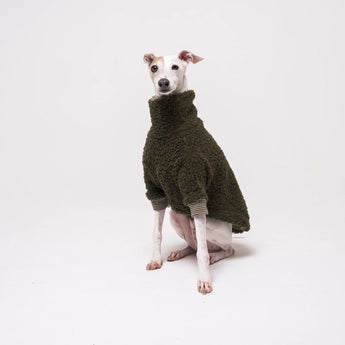 Italian Greyhound dog wearing a fleece fluffy reversible sweater in khaki green
