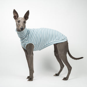 Ribbed Sleeveless Sweater in Dusty Blue Stripe - Whippet
