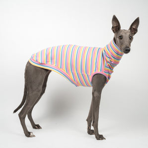 Ribbed Sleeveless Sweater in Sherbet Stripe - Whippet