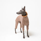 Whippet dog wearing fleece fluffy reversible onesie in caramel on a white background