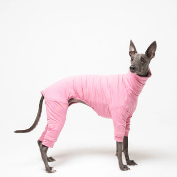 Whippet dog wearing Snootly fleece fluffy reversible onesie in marshmallow pink on white background