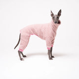 Whippet dog wearing Snootly fleece fluffy reversible onesie in marshmallow pink on white background