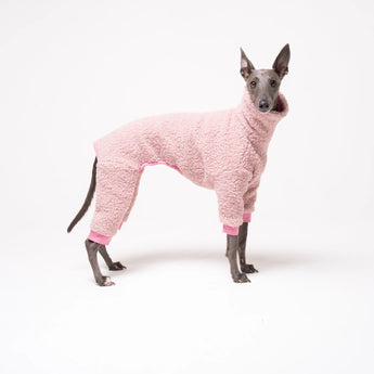 Whippet dog wearing Snootly fleece fluffy reversible onesie in marshmallow pink on white background