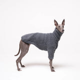 Whippet dog wearing fleece fluffy reversible sweater in charcoal grey on a white background