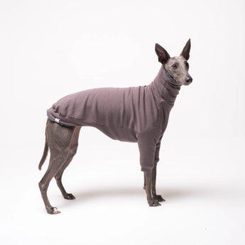 Whippet dog wearing fleece fluffy reversible sweater in charcoal grey on a white background