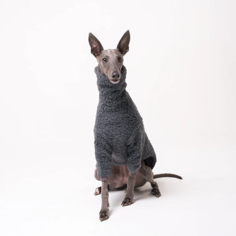 Whippet dog wearing fleece fluffy reversible sweater in charcoal grey on a white background