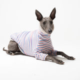 Whippet dog wearing fleece fluffy reversible sweater in vanilla on a white background