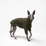 Whippet dog wearing fleece fluffy reversible sweater in khaki green on a white background