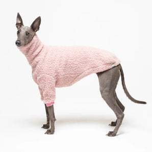 Whippet dog wearing fleece fluffy reversible sweater in marshmallow pink on a white background