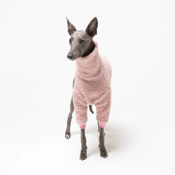 Whippet dog wearing fleece fluffy reversible sweater in marshmallow pink on a white background
