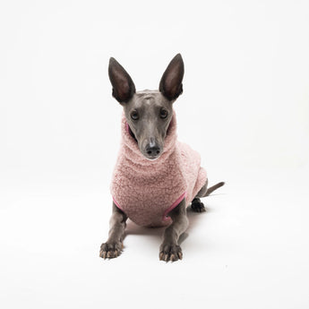 Whippet dog wearing Snootly fleece sleeveless fluffy reversible sweater in marshmallow pink