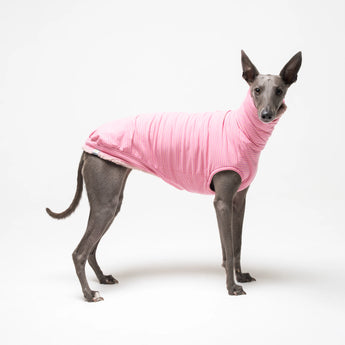 Whippet dog wearing Snootly fleece sleeveless fluffy reversible sweater in marshmallow pink