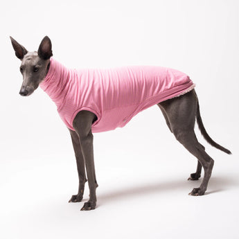 Whippet dog wearing Snootly fleece sleeveless fluffy reversible sweater in marshmallow pink