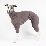 Whippet wearing a fluffy reversible onesie in charcoal standing left side reverse