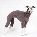 Whippet wearing a fluffy reversible onesie in charcoal standing left side reverse