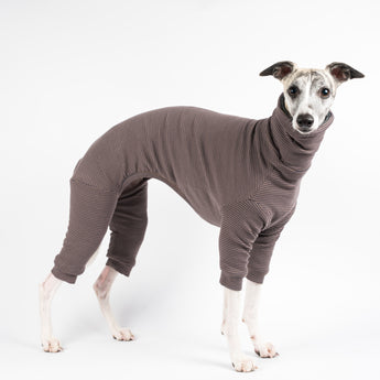 Whippet wearing a fluffy reversible onesie in charcoal standing left side reverse