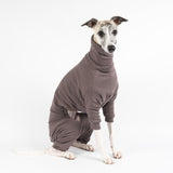 Whippet wearing a fluffy reversible onesie in charcoal sitting right side