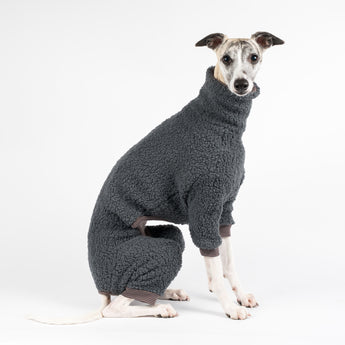 Whippet wearing a fluffy reversible onesie in charcoal sitting right side
