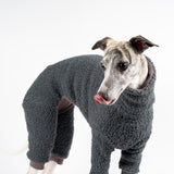 Whippet wearing a fluffy reversible onesie in charcoal standing head shot