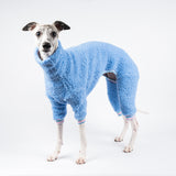 Whippet wearing a fluffy reversible onesie in cornflower blue standing left side 