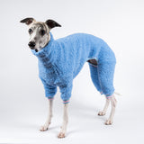 Whippet wearing a fluffy reversible onesie in cornflower blue standing left side