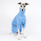 Whippet wearing a fluffy reversible onesie in cornflower blue sitting right side