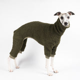 Whippet wearing a fluffy reversible onesie in khaki right side