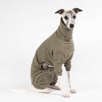 Whippet wearing a fluffy reversible onesie in khaki right side sitting