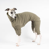 Whippet wearing a fluffy reversible onesie in khaki left side standing reverse