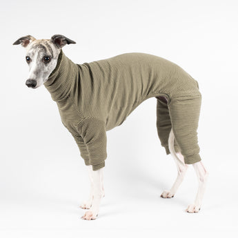 Whippet wearing a fluffy reversible onesie in khaki left side 2
