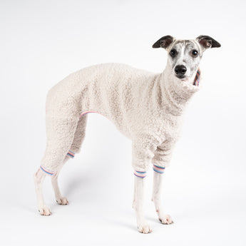 Whippet wearing a fluffy reversible onesie in vanilla right side standing