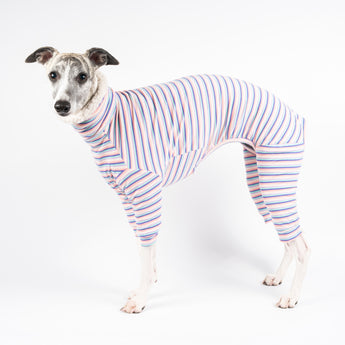Whippet wearing a fluffy reversible onesie in vanilla left side standing