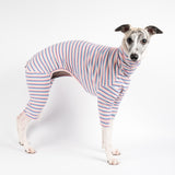 Whippet wearing a fluffy reversible onesie in vanilla right side standing reverse