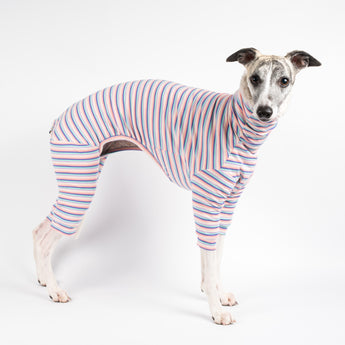 Whippet wearing a fluffy reversible onesie in vanilla right side standing reverse