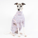 Whippet wearing a fluffy reversible onesie in vanilla front on sitting