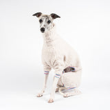 Whippet wearing a fluffy reversible onesie in vanilla left side sitting