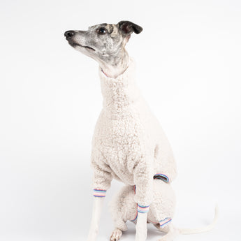 Whippet wearing a fluffy reversible onesie in vanilla head shot sitting 1