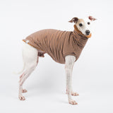 Italian Greyhound dog wearing a fluffy reversible sleeveless sweater/jumper in caramel/brown colour reverse side standing right side on 