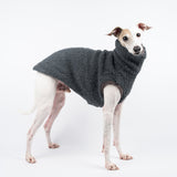 Italian Greyhound dog wearing a fluffy reversible sleeveless sweater/jumper in charcoal/grey colour standing right side on 

