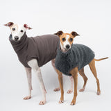 Italian Greyhound dogs wearing a fluffy reversible sleeveless sweater/jumper in charcoal/grey colour both standing
