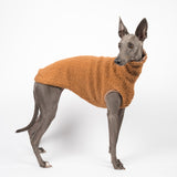 Whippet dog wearing a fluffy reversible sleeveless sweater/jumper in caramel/brown colour standing right side