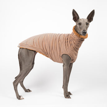 Whippet dog wearing a fluffy reversible sleeveless sweater/jumper in caramel/brown colour standing reverse side right