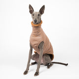 Whippet dog wearing a fluffy reversible sleeveless sweater/jumper in caramel/brown colour sitting reverse side front on