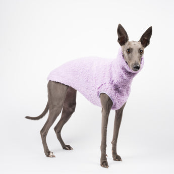 Whippet dog wearing a fluffy reversible sleeveless sweater/jumper in lilac/purple colour standing right side
