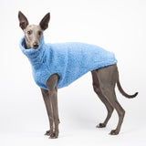 Whippet dog wearing a fluffy reversible sleeveless sweater/jumper in cornflower/blue colour standing left side
