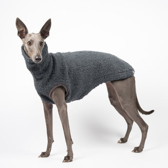 Whippet dog wearing a fluffy reversible sleeveless sweater/jumper in charcoal/grey colour standing left side on 