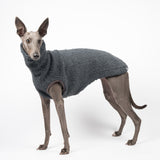 Whippet dog wearing a fluffy reversible sleeveless sweater/jumper in charcoal/grey colour standing left side on 